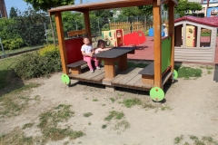 IMG_8811_resize