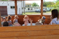 IMG_8828_resize